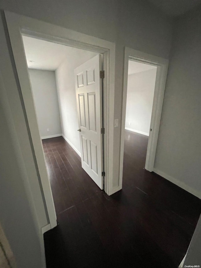 hallway featuring dark wood-type flooring