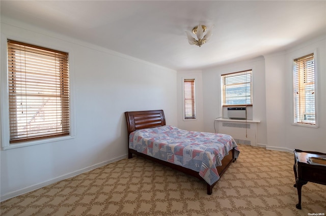 bedroom with radiator and multiple windows