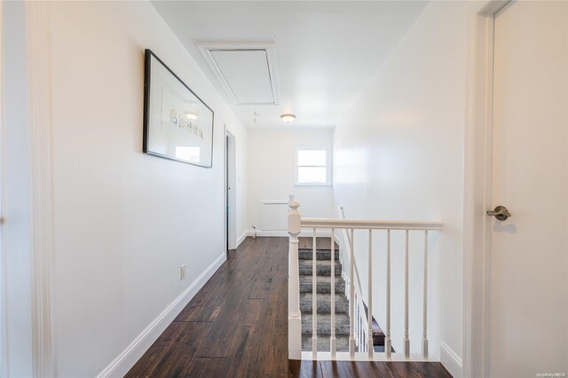 corridor featuring dark hardwood / wood-style floors