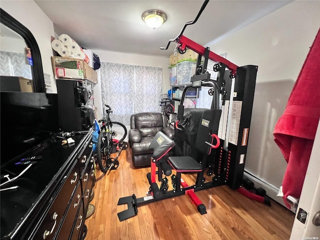 workout room featuring light hardwood / wood-style floors