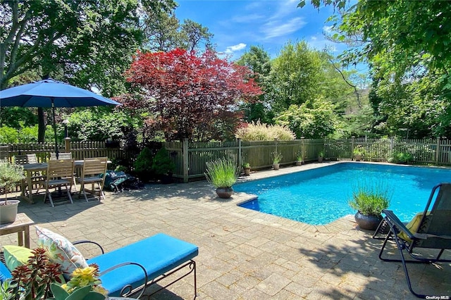 view of swimming pool featuring a patio area