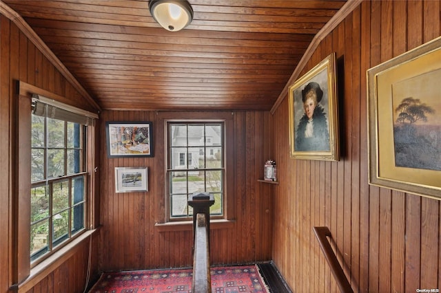 interior space featuring wooden ceiling and wooden walls