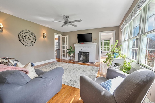 living room featuring ceiling fan and wood-type flooring