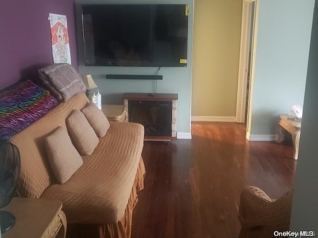 living room featuring a fireplace and hardwood / wood-style flooring