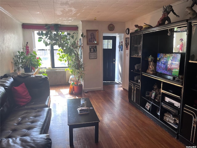 living room featuring radiator heating unit, dark hardwood / wood-style floors, and ornamental molding