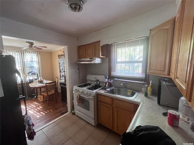 kitchen featuring ceiling fan, sink, light hardwood / wood-style flooring, refrigerator, and white gas range oven