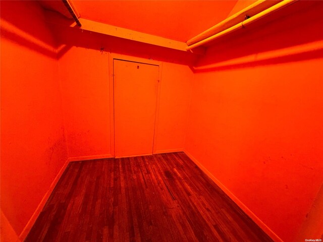 walk in closet featuring wood-type flooring