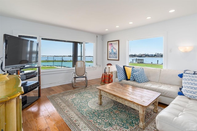 living room with hardwood / wood-style flooring, plenty of natural light, and a water view