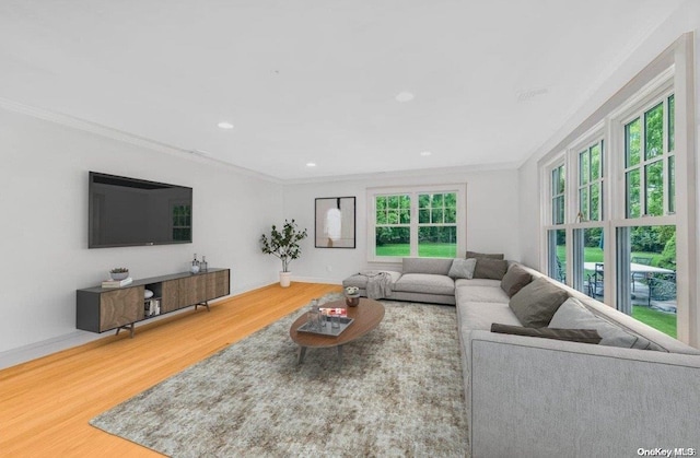 living room with wood-type flooring and crown molding