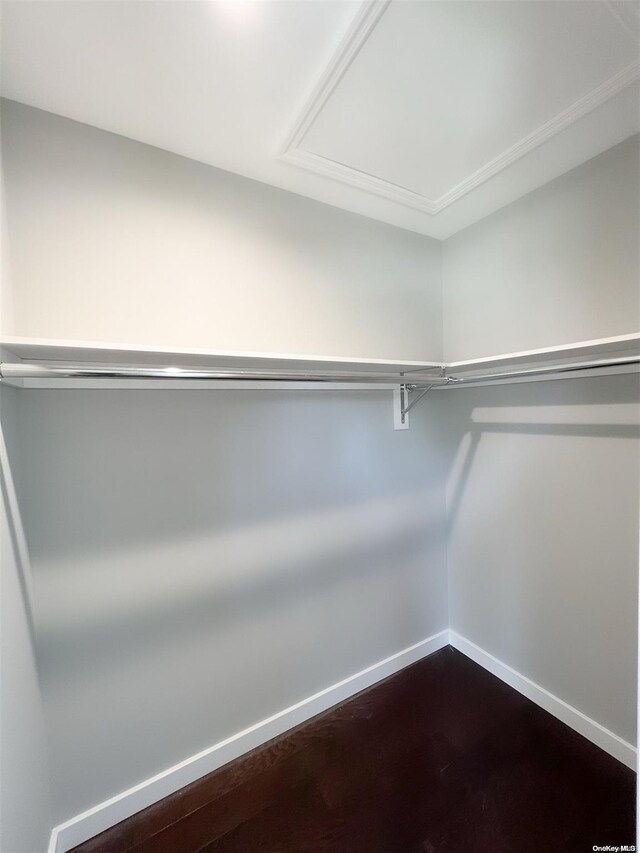 spacious closet with hardwood / wood-style flooring