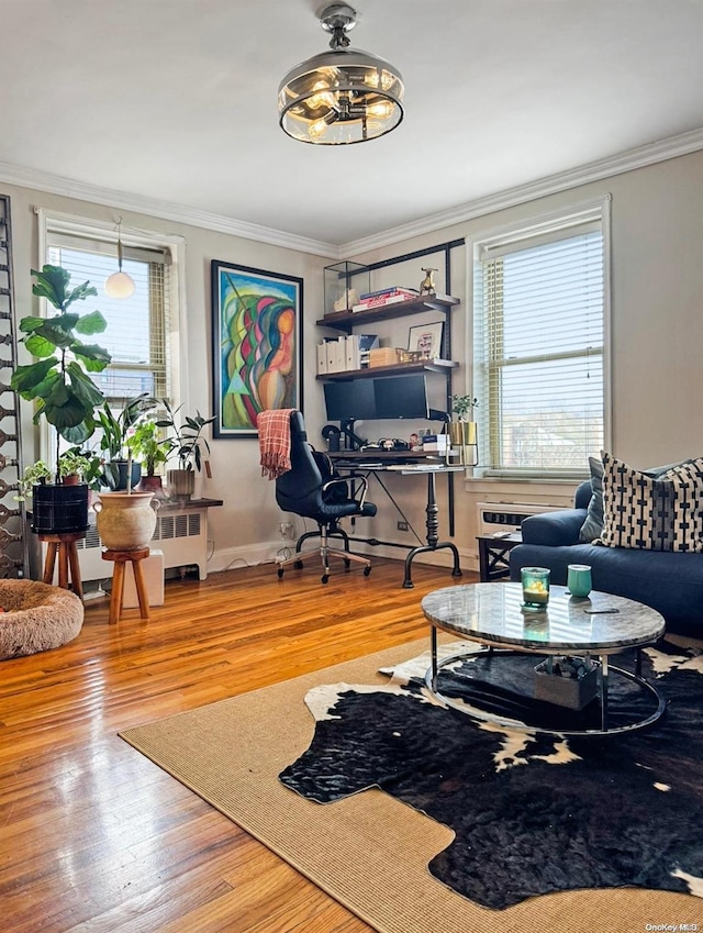 living room featuring hardwood / wood-style floors, a healthy amount of sunlight, crown molding, and radiator