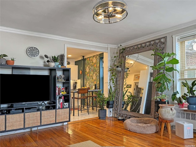 living room with hardwood / wood-style floors, radiator, and ornamental molding