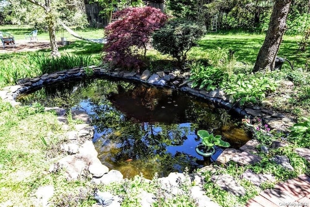 view of nature with a small pond