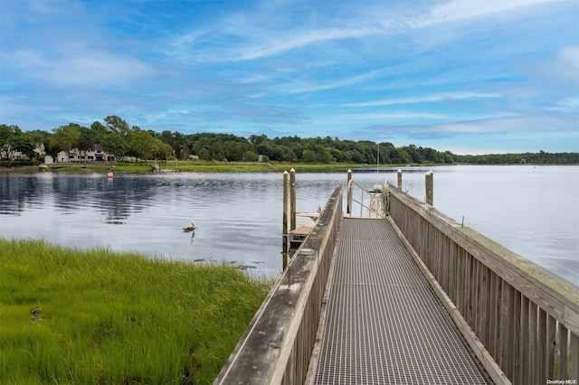 dock area with a water view