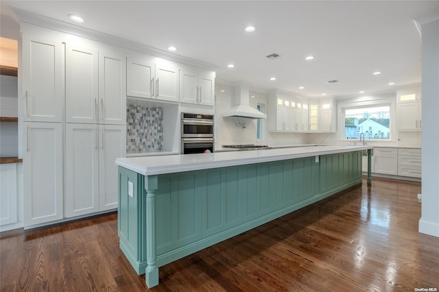 kitchen with white cabinetry, tasteful backsplash, dark hardwood / wood-style floors, premium range hood, and appliances with stainless steel finishes