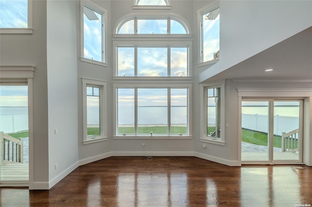 interior space with a water view, dark hardwood / wood-style floors, and a high ceiling