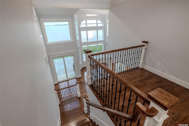 stairway with wood-type flooring and a wealth of natural light