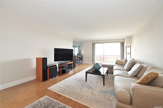 living room with light wood-type flooring