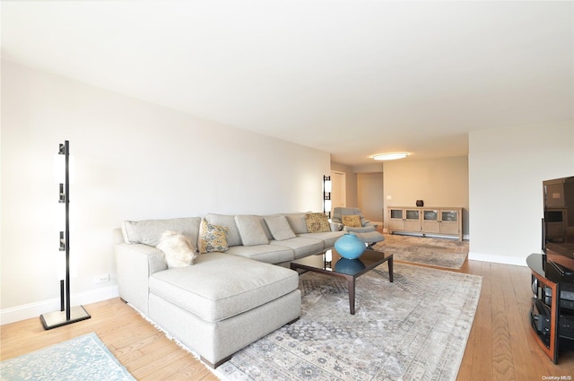 living room featuring wood-type flooring