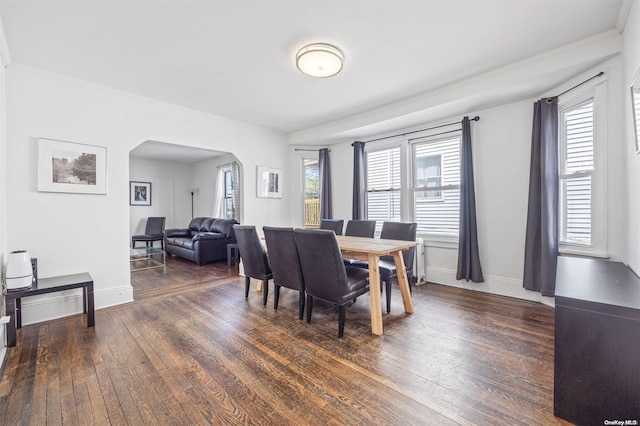 dining area with a wealth of natural light, dark hardwood / wood-style flooring, and ornamental molding