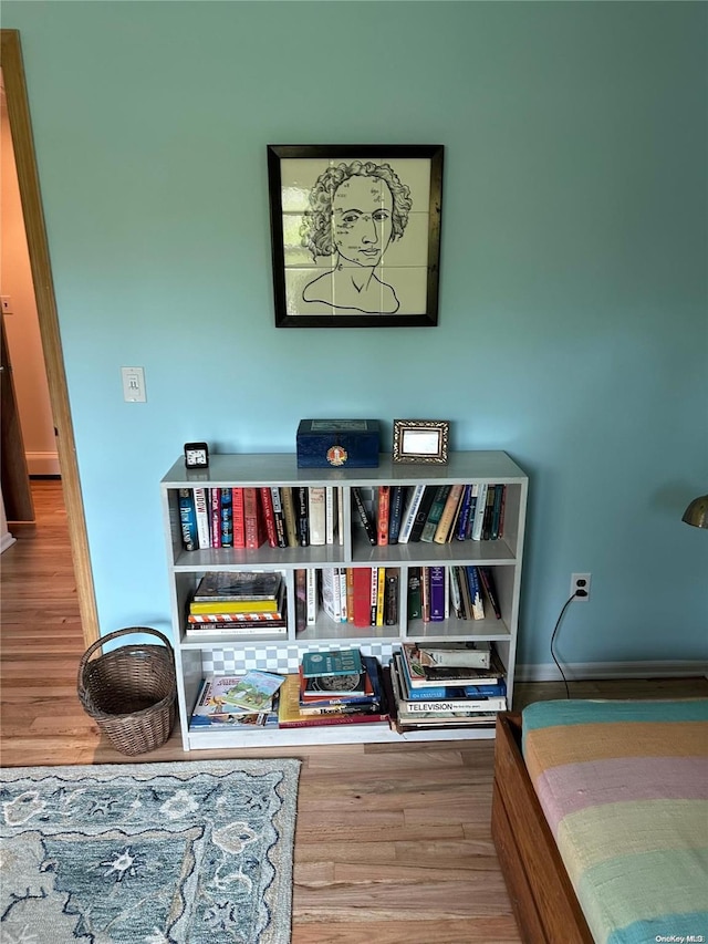 interior space featuring hardwood / wood-style flooring