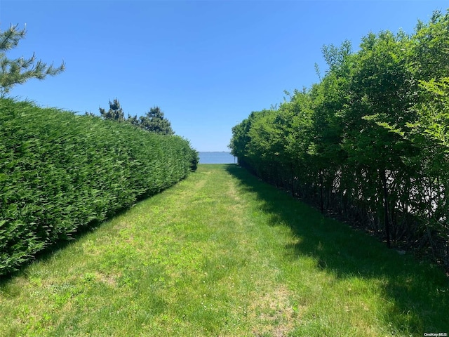 view of yard featuring a water view