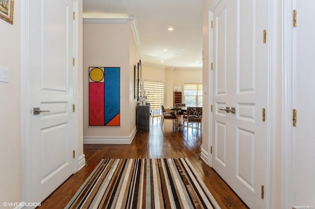 hallway featuring crown molding and dark hardwood / wood-style floors