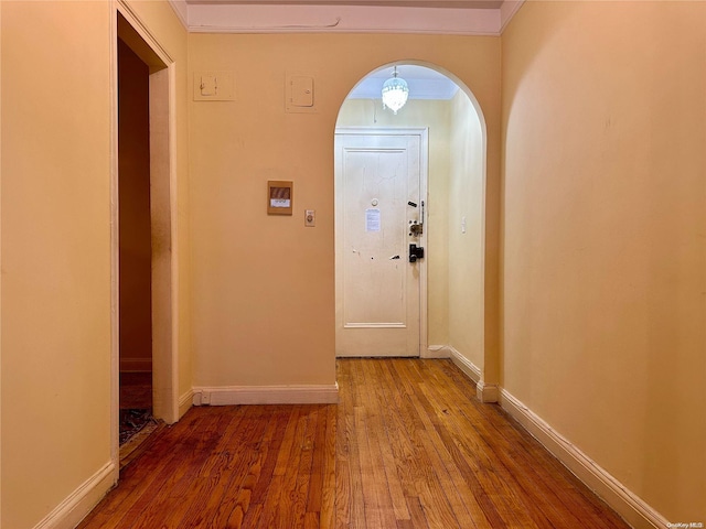 interior space featuring wood-type flooring and crown molding