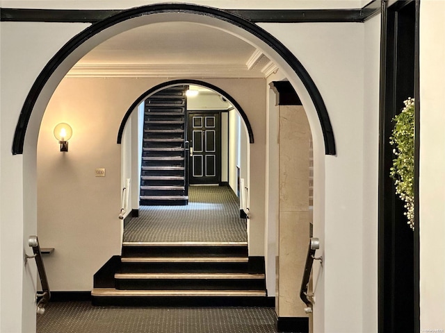 stairs featuring carpet flooring and ornamental molding