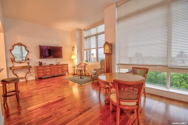 dining space with hardwood / wood-style floors and a wealth of natural light