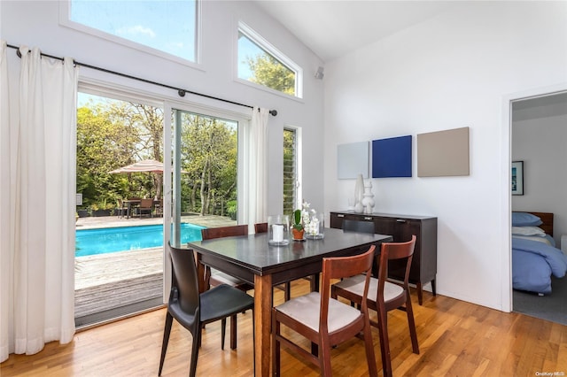 dining room with light hardwood / wood-style floors and high vaulted ceiling