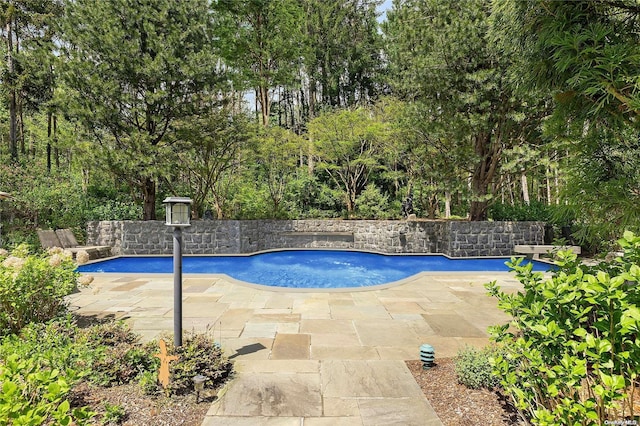 view of pool with a patio