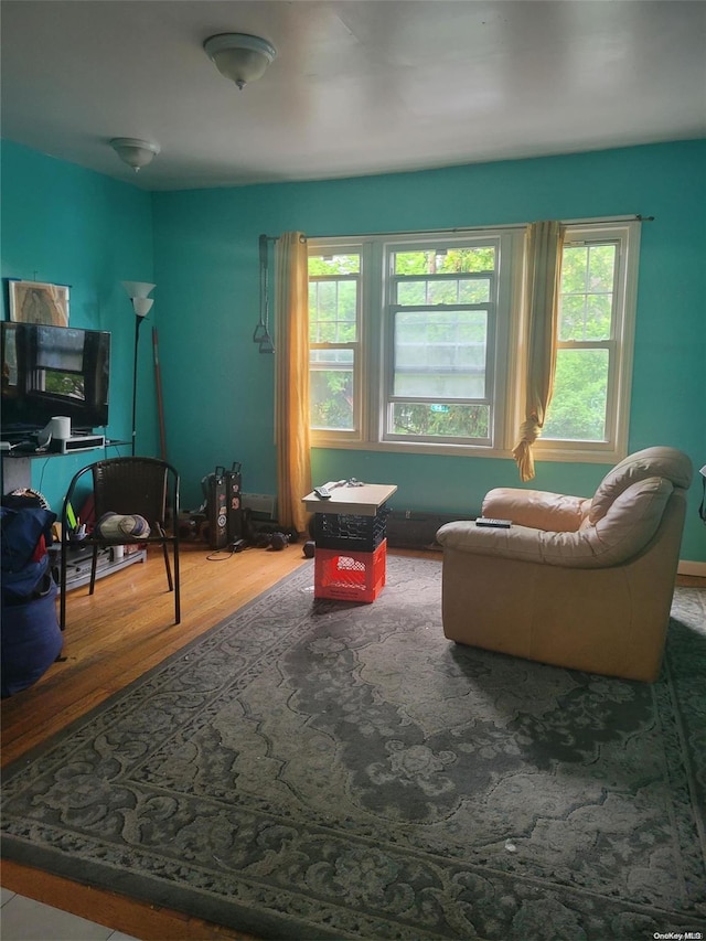 living room featuring hardwood / wood-style floors