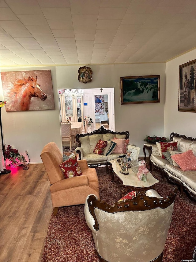 living room with wood-type flooring