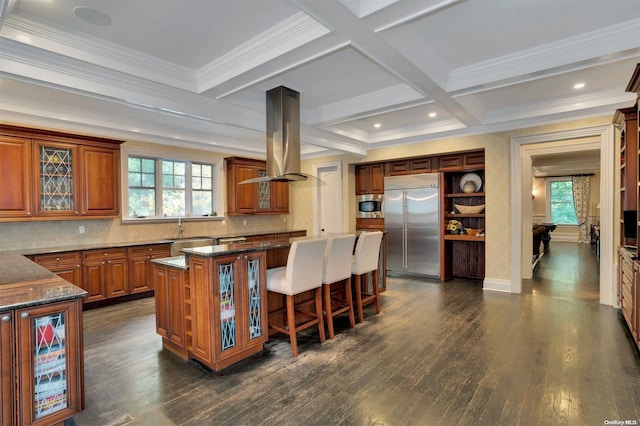 kitchen featuring built in appliances, island range hood, a kitchen island, and a healthy amount of sunlight