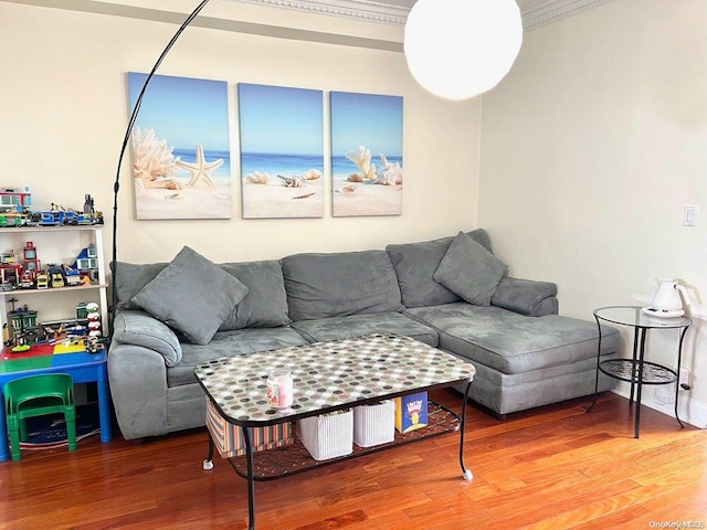 living room with hardwood / wood-style floors and crown molding