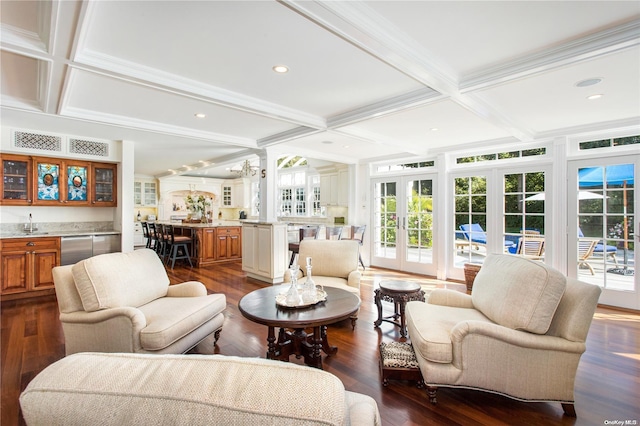 living room featuring dark hardwood / wood-style floors, a wealth of natural light, and french doors