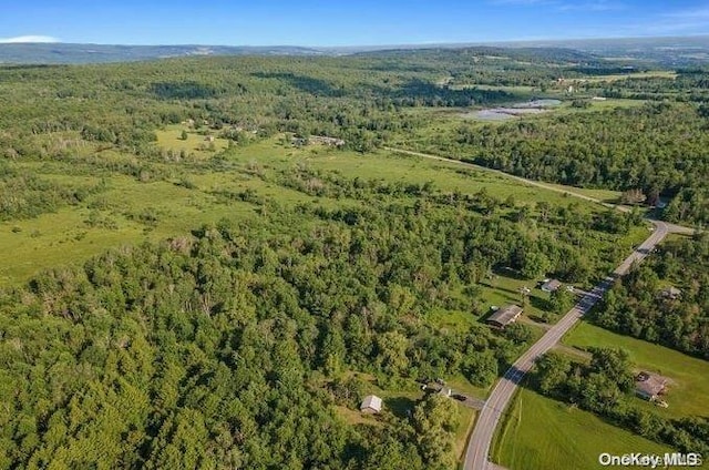 L8.111 Churches Rd, Ridges, NY 12053