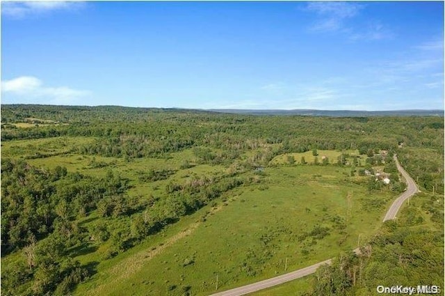 L8.111 Churches Rd, Ridges, NY 12053