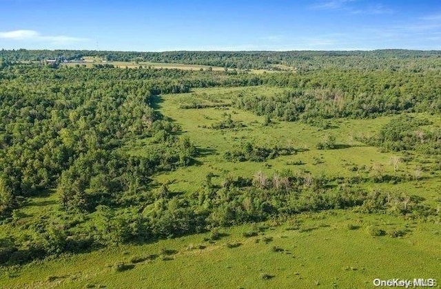 L8.111 Churches Rd, Ridges, NY 12053