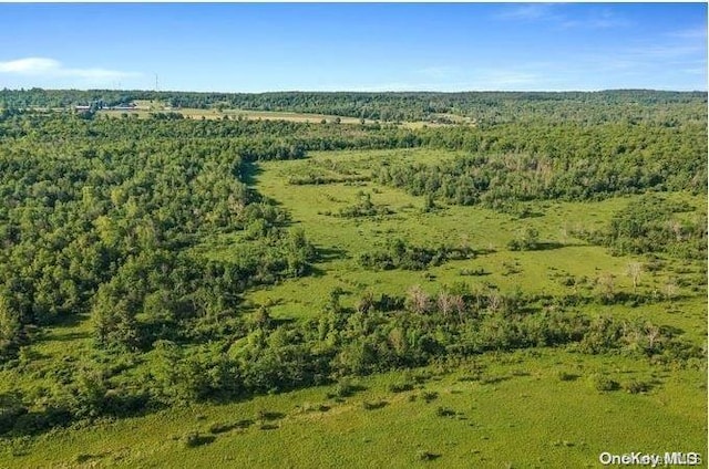 L8.111 Churches Rd, Ridges, NY 12053