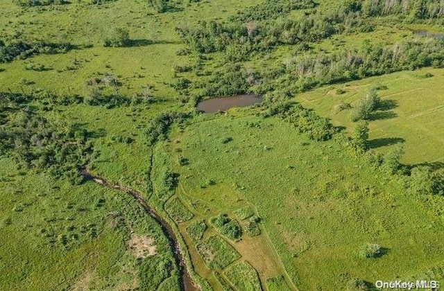 L8.111 Churches Rd, Ridges, NY 12053