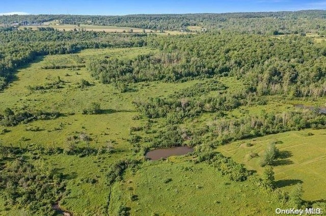 L8.111 Churches Rd, Ridges, NY 12053