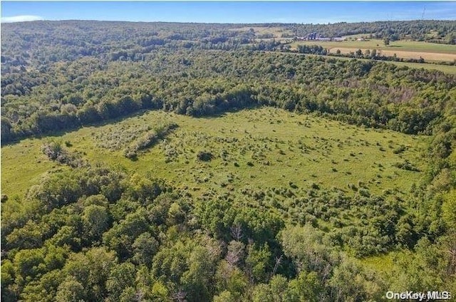 L8.111 Churches Rd, Ridges, NY 12053