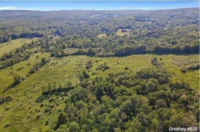 L8.111 Churches Rd, Ridges, NY 12053