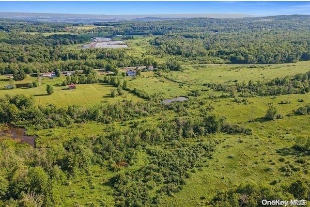 L8.111 Churches Rd, Ridges, NY 12053