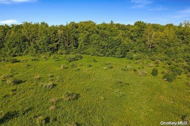 L8.111 Churches Rd, Ridges, NY 12053