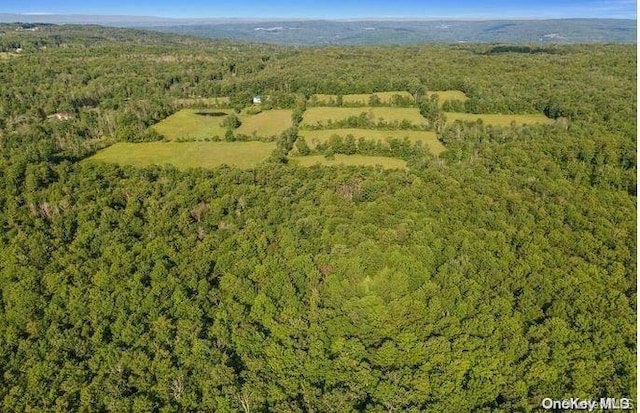 L8.111 Churches Rd, Ridges, NY 12053