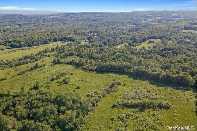 L8.111 Churches Rd, Ridges, NY 12053