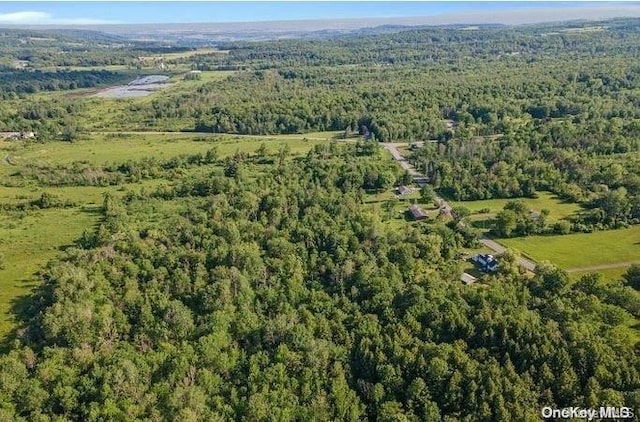 L8.111 Churches Rd, Ridges, NY 12053